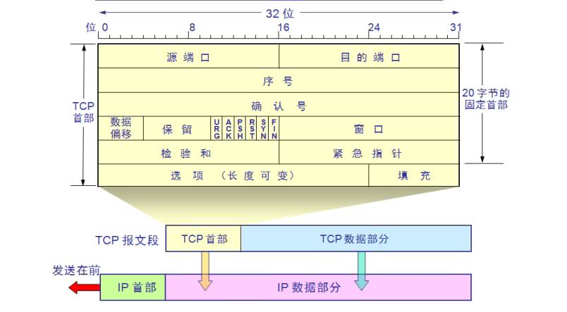 tcp的报文格式